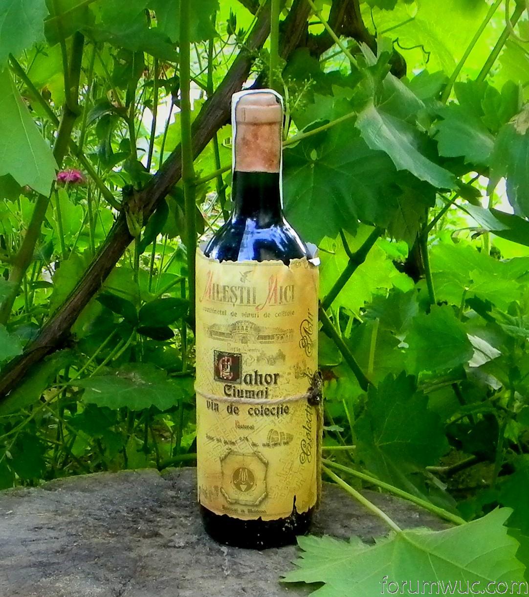молдавское вино фото